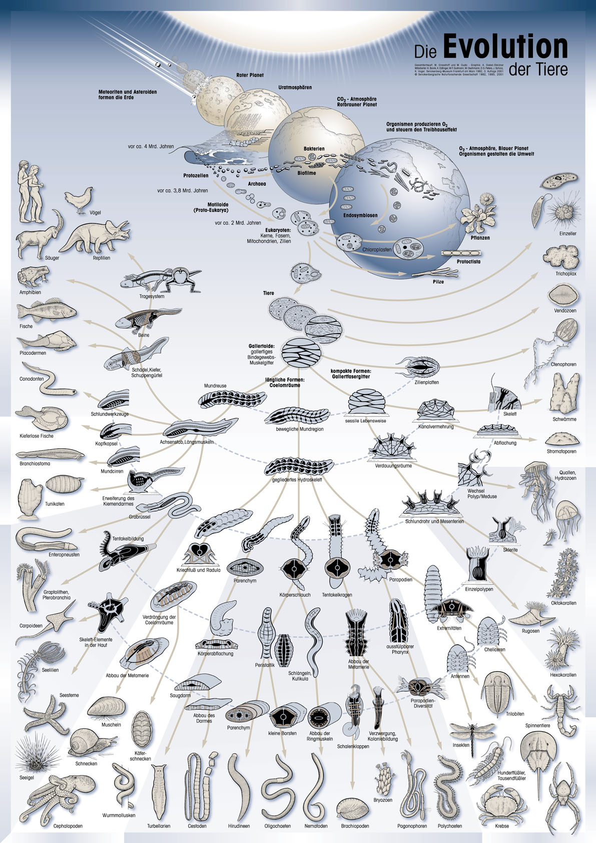 evolution-poster – Folios de Historias